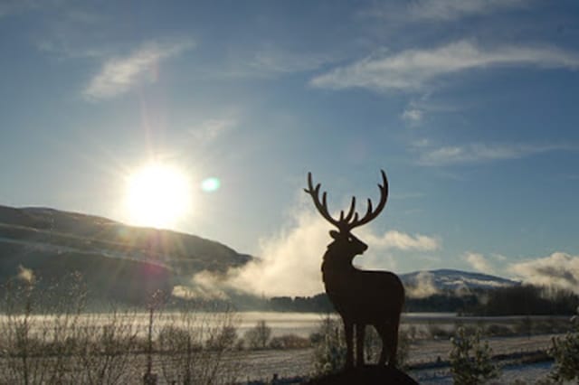 Summer Watch Safaris 2019