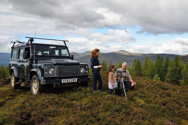 Summer Watch Safaris 2019