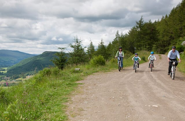 Summer Watch Safaris 2019