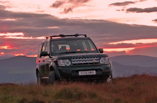 Summer Watch Safaris 2019