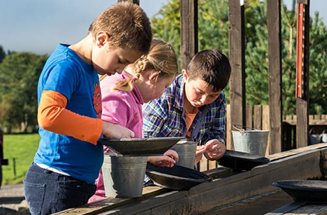 The Top 5 Family-Friendly Activities at Highland Safaris 