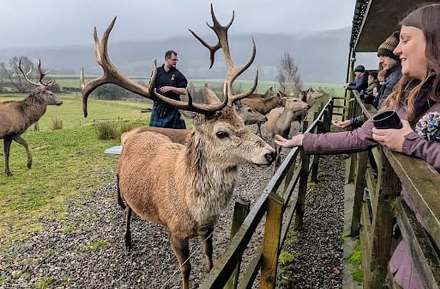 Top 10 Things to do in Winter in Perthshire