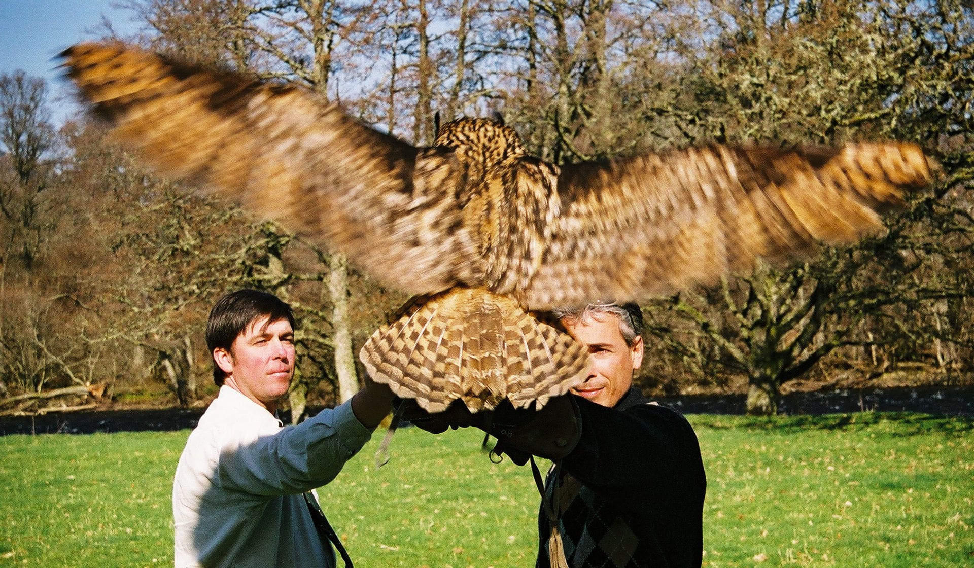 Highland Safari Extras